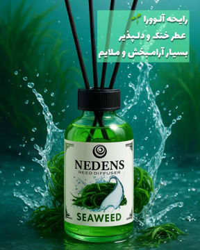 Seaweed