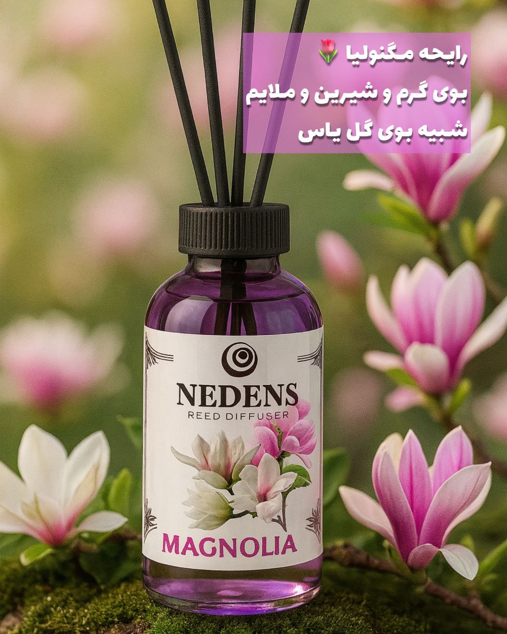 Magnolia