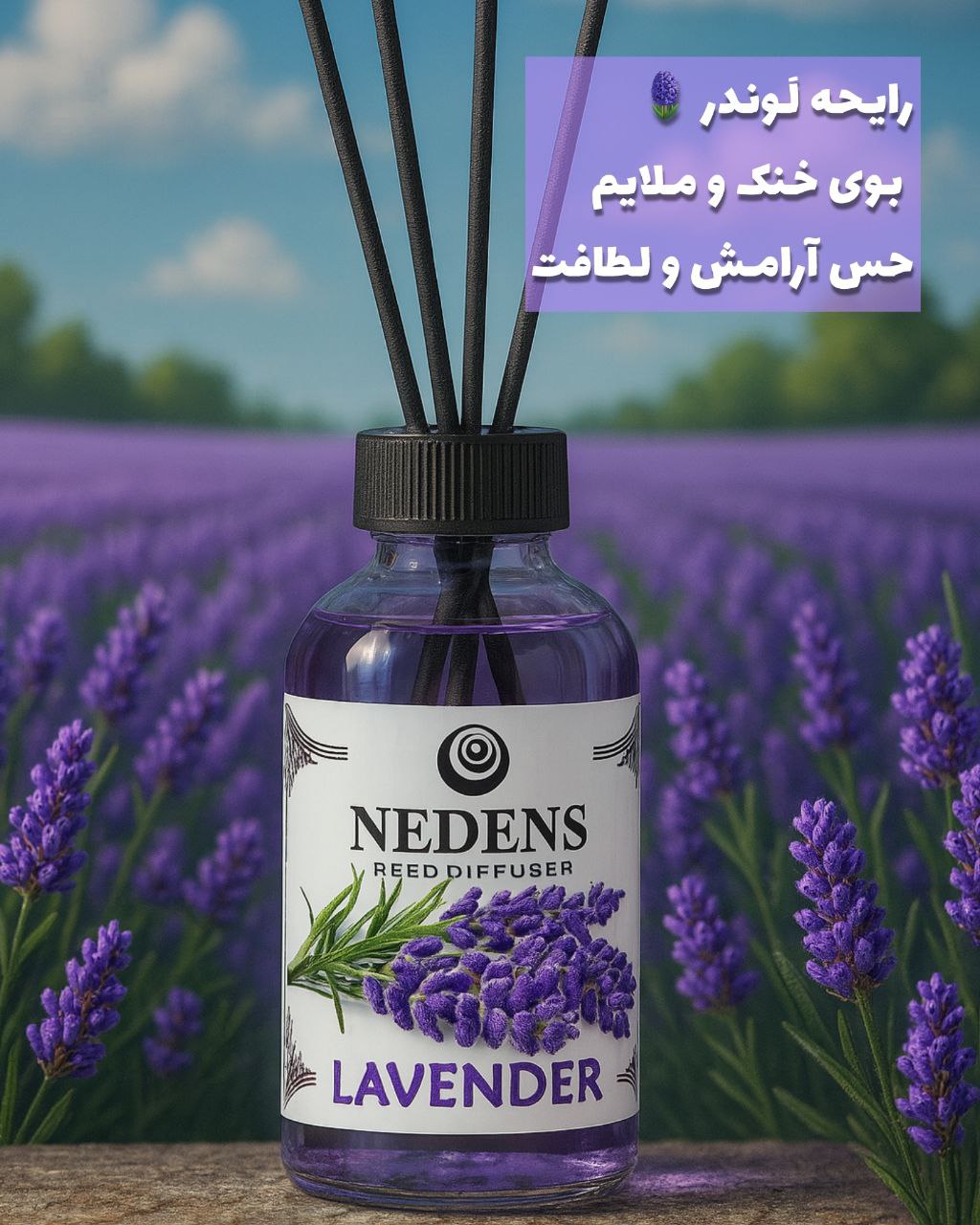 Lavender