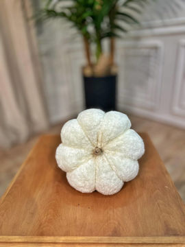 شیری