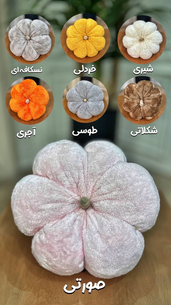 کدو تدی