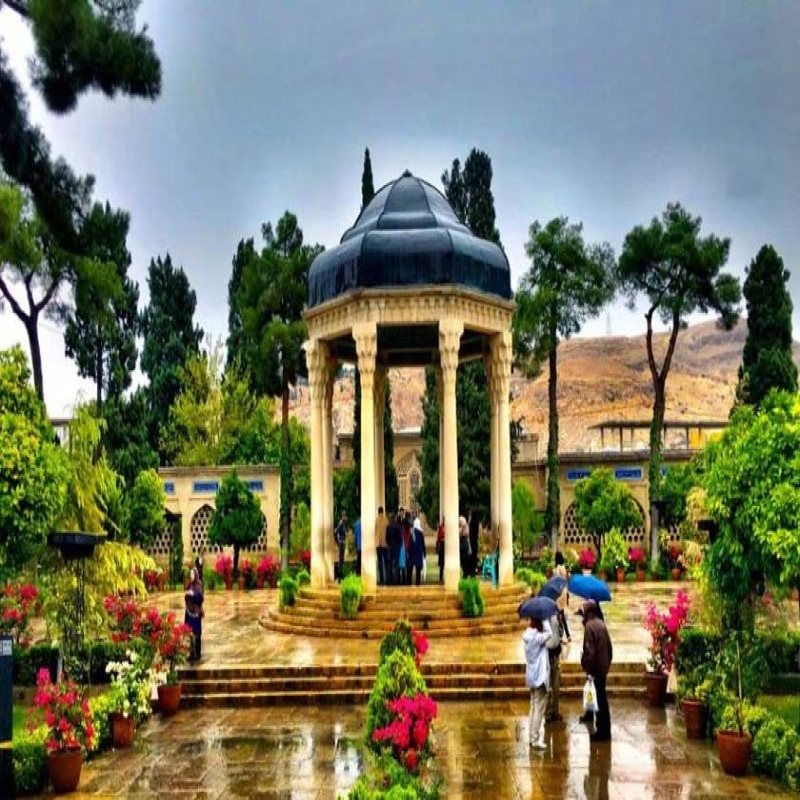 خرید کوسن در شیراز